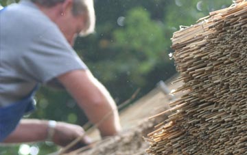 professional Bringhurst thatchers